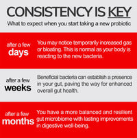 Biostren Probi Iron | 2 in 1 Bio Cultures Complex Plus Iron for Ultimate Gut Health and Hemoglobin Support | Probiotic | Red Blood Cells | Bloat Relief | Digestion | IBS | 60 Capsules