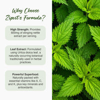 Zipvit Stinging Nettle 600mg, 200mg Per Tablet, 90 High Strength Vegan Tablets, Potent Antioxidant
