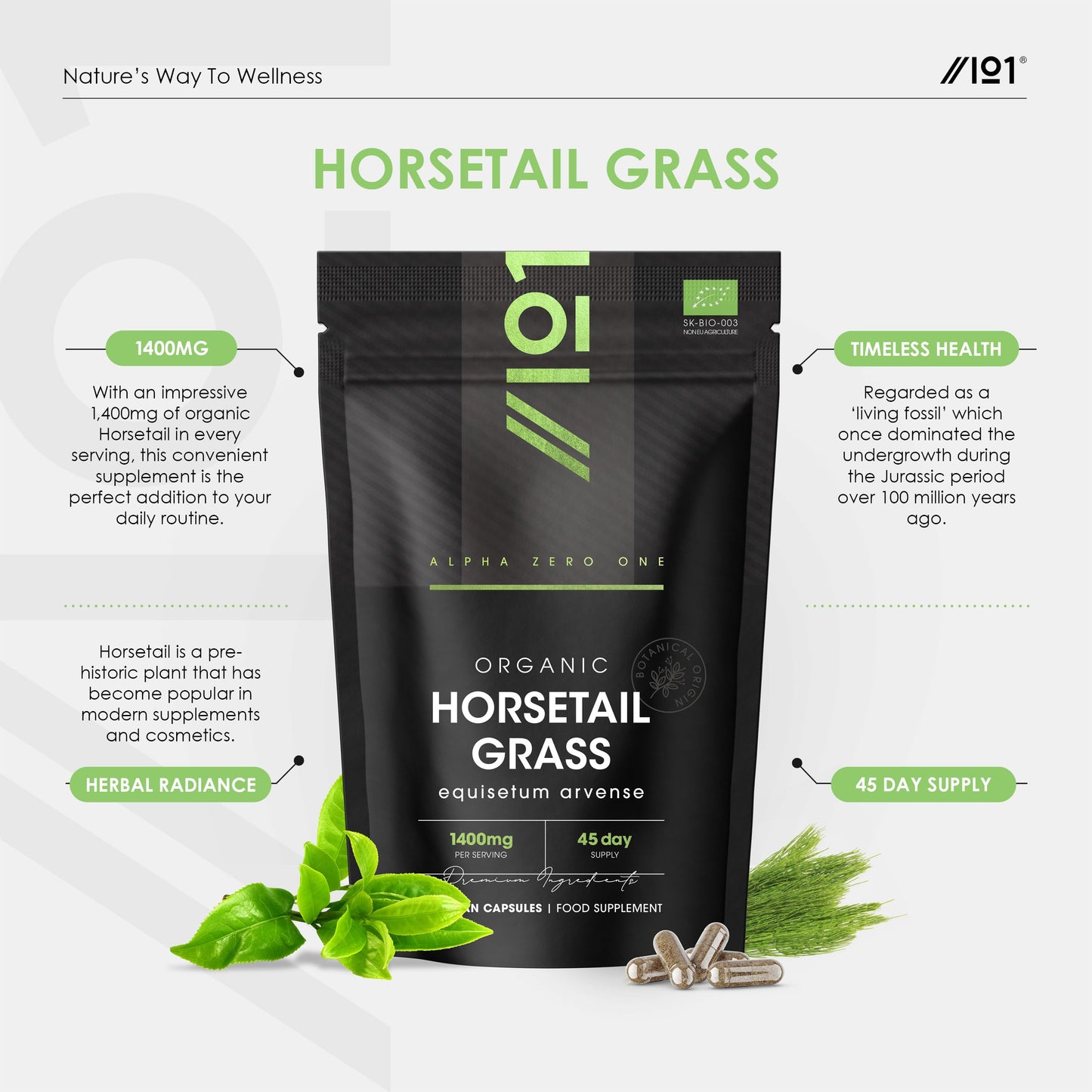 ALPHA01 Organic Horsetail 1400mg – 90 Vegan Capsules (45 Day Supply) – Pure & Potent Powder – Resealable and Recyclable Pouch by Alpha01
