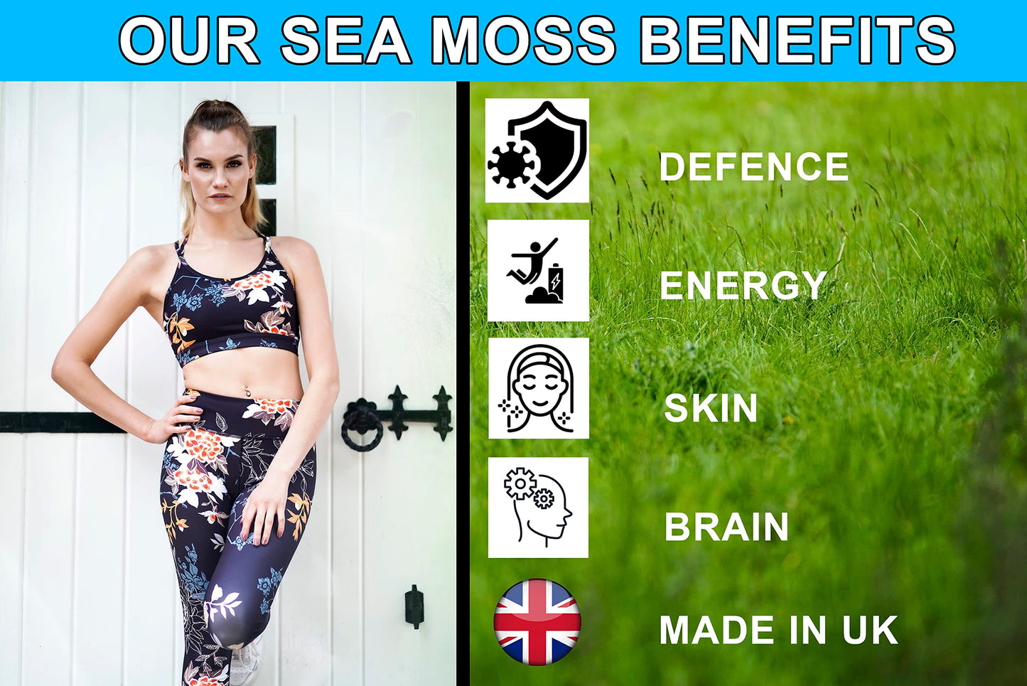 Sea Moss and Bladderwrack 120 Capsules (3600mg) | UK Made | Vegan | Wild Harvested | Non GMO | Dr Sebi