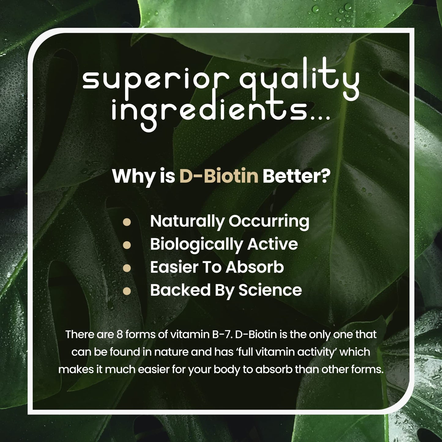 Biotin Hair Growth Vitamins, 12000 mcg Biotin Tablets, 365 Vegan Biotin Tablets, Support Hair Growth, Hair Skin & Nails Vitamins for Hair Loss for Women & Men, VitaBright Biotin Supplements + Coconut