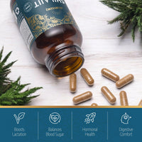 AYURVEDIQ WELLNESS Ayurvediq Wellness Pure Shilajit and Organic Ashwagandha - Himalayan Shilajit with Ashwagandha High Strength Capsules - Ayurveda Products