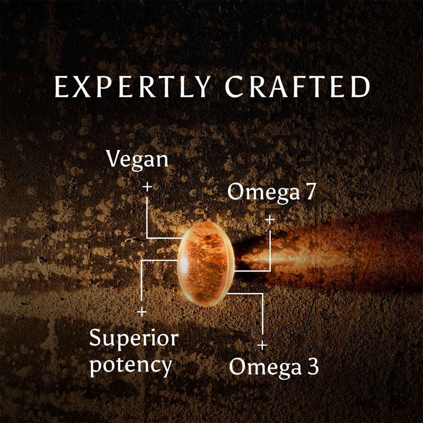Ancient + Brave True Omegas+ 60 Capsules - Vegan Omega-3 Omega-7 - Nutrition Supplement – Plant Based Essential Fatty Acids for Vision Brain and Heart Health