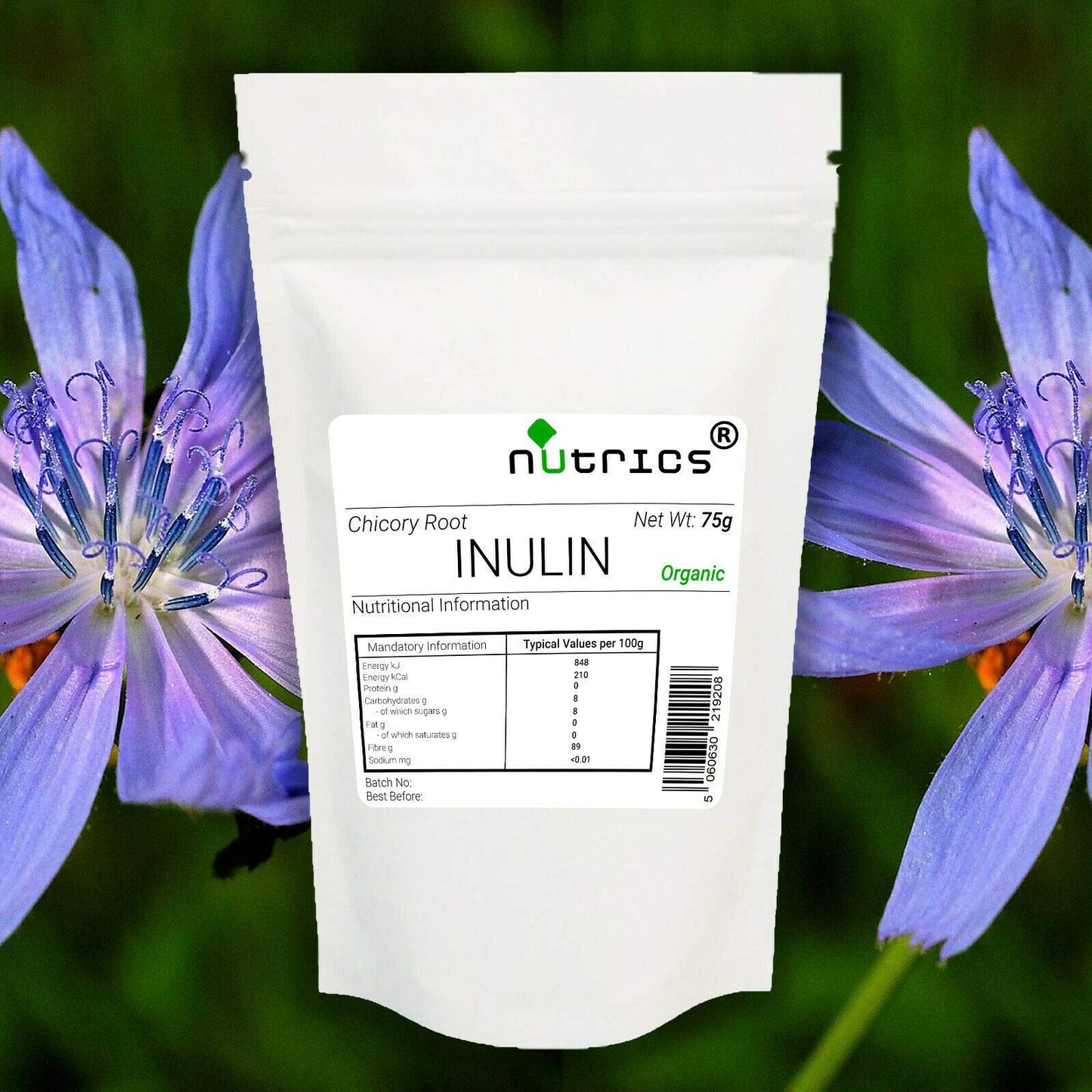 Nutrics® INULIN POWDER Prebiotic - Chicory Root 100% Natural Dietary Fibre - Suitable for Vegan Vegetarian Halal & Kosher Diet (75g)