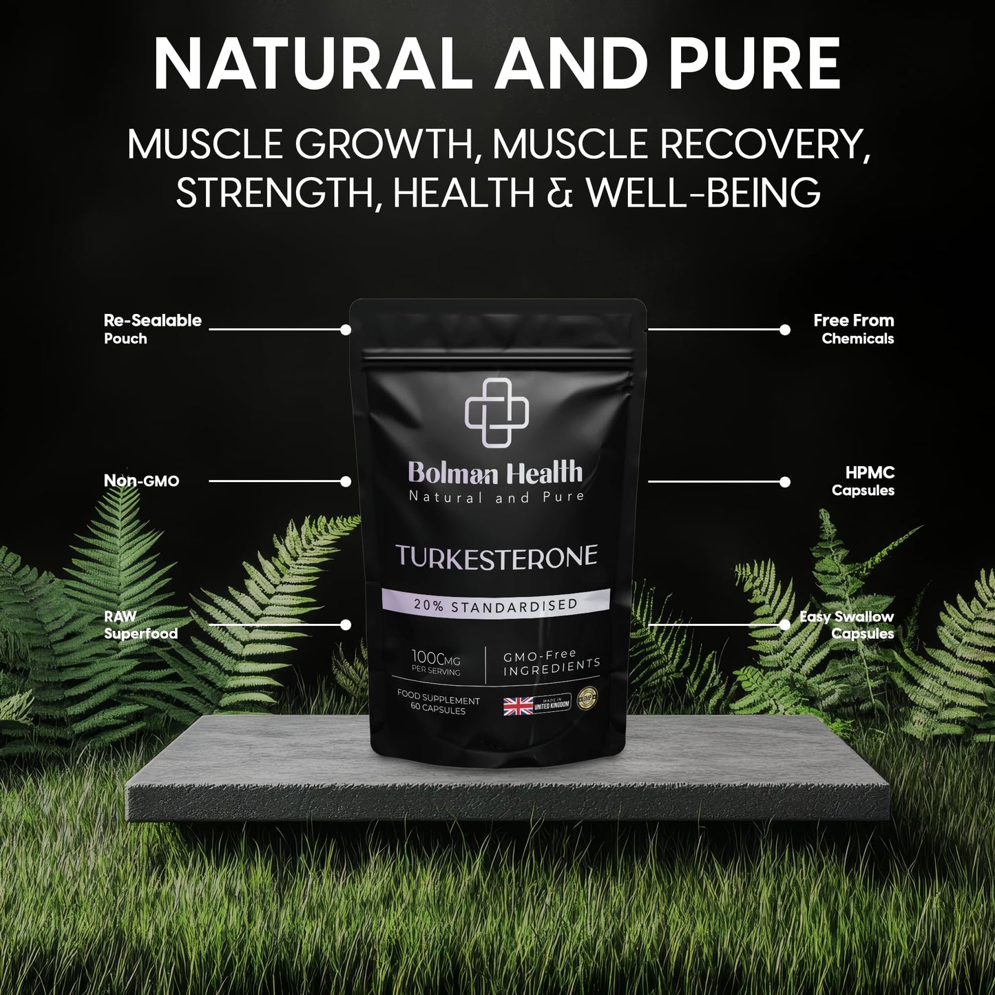 Bolman Health Turkesterone Capsules | 1000mg Ajuga Turkestanica Extract (20% Standardised) | Supports Strength, Muscle Function & Recovery | 60 Vegan Capsules | Non-GMO | Turkesterone Supplement