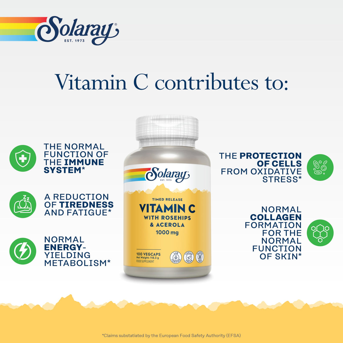 SOLARAY Solaray Vitamin C 1000mg Time Release Formula - 100 Vegan Capsules - High Strength VIT C with Acerola & Rosehip 2 Stage Sustained Release - 3+ Month Supply - Immune Support - Lab Verified