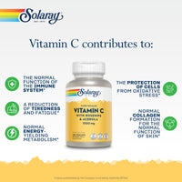 SOLARAY Solaray Vitamin C 1000mg Time Release Formula - 100 Vegan Capsules - High Strength VIT C with Acerola & Rosehip 2 Stage Sustained Release - 3+ Month Supply - Immune Support - Lab Verified