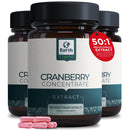 Earth BOTANIC Organic Cranberry Capsules High Strength | 120 Concentrated Pills Cranberry Extract Complex with Vitamin C Supplements