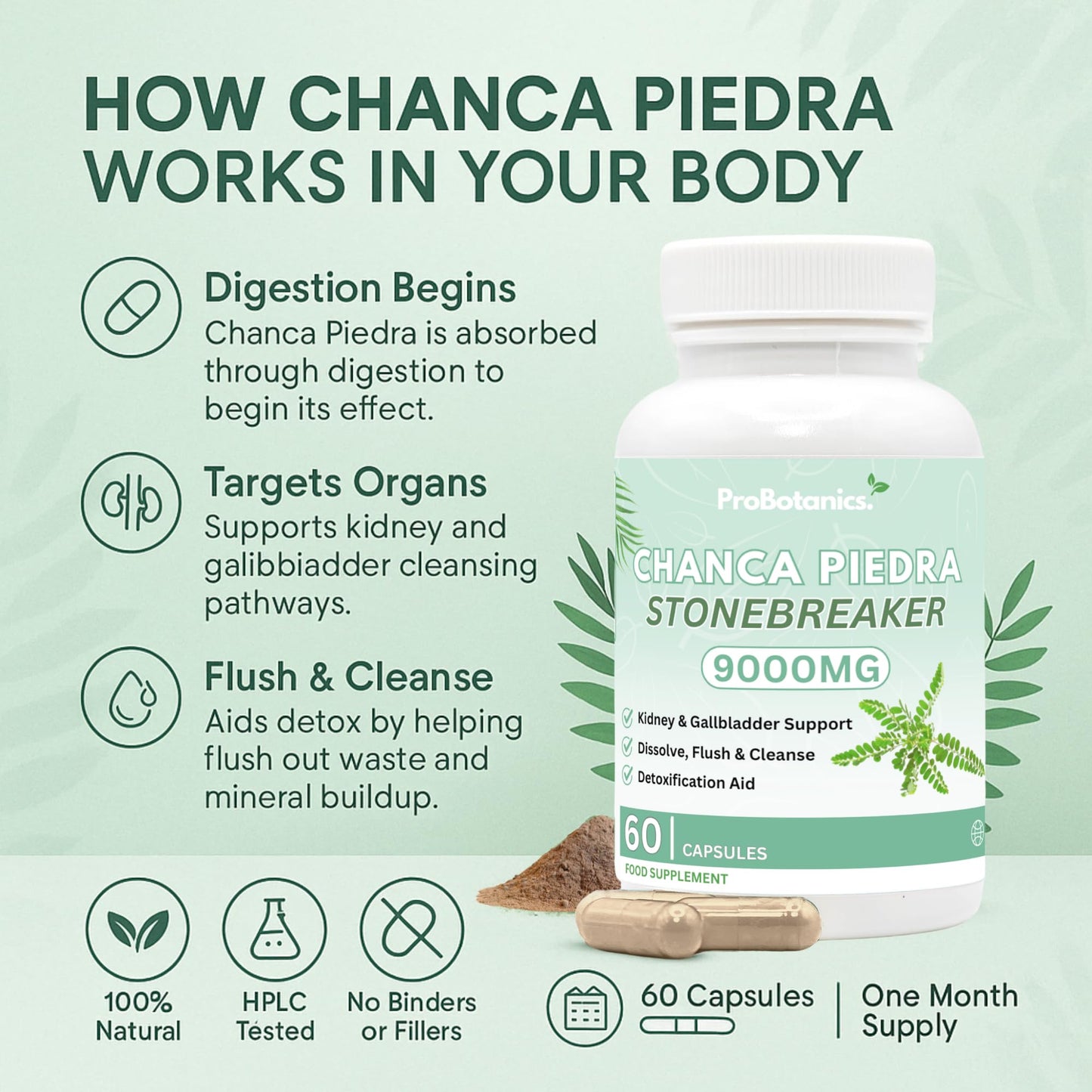 ProBotanics Chanca Piedra Stone Breaker Capsules | Kidney, Liver & Gallbladder Support – Dissolve, Flush & Cleanse | 900mg Per Serving (10:1 Extract Equiv. to 9000mg) Kidney Cleanse Supplement - 60 Capsules
