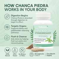 ProBotanics Chanca Piedra Stone Breaker Capsules | Kidney, Liver & Gallbladder Support – Dissolve, Flush & Cleanse | 900mg Per Serving (10:1 Extract Equiv. to 9000mg) Kidney Cleanse Supplement - 60 Capsules
