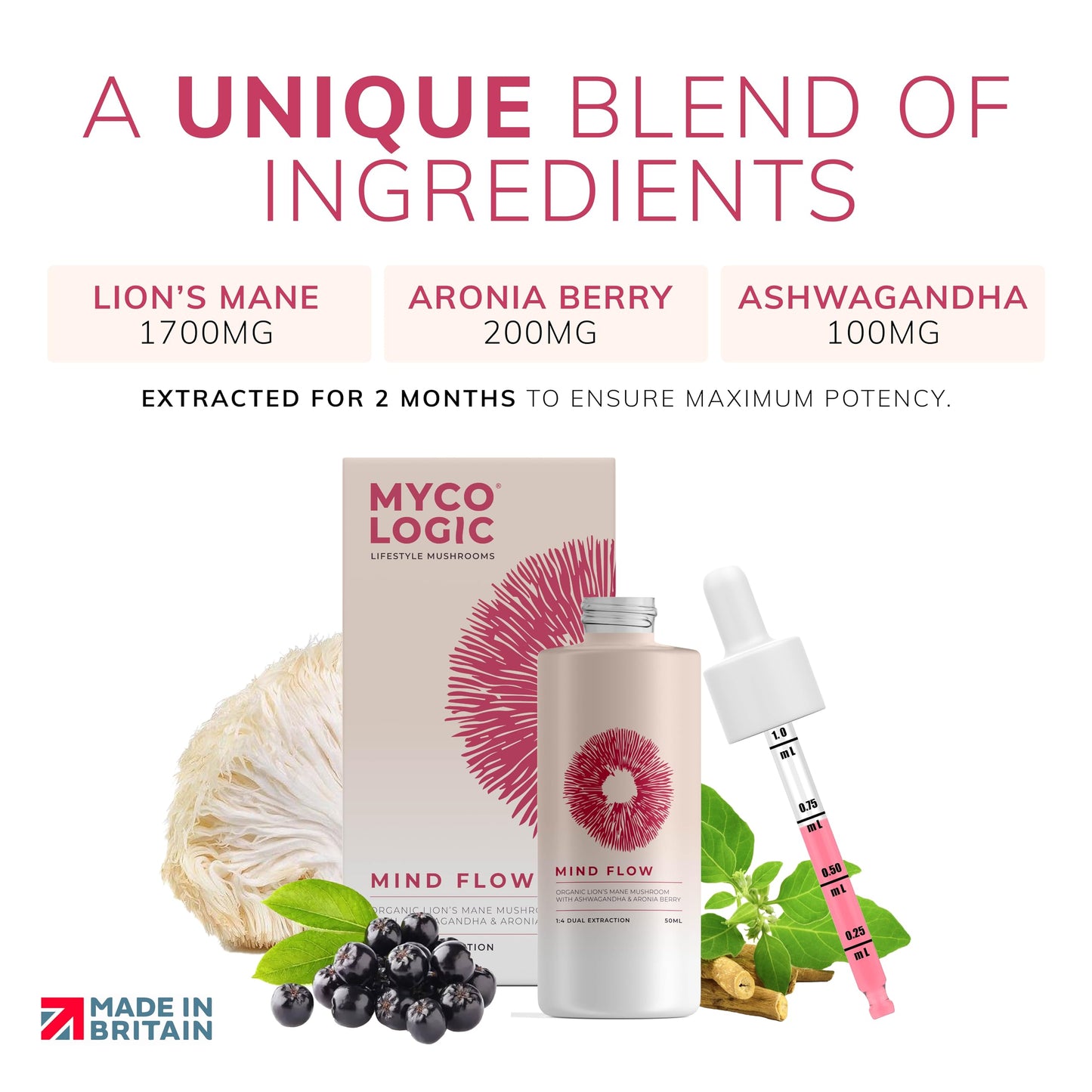MYCO LOGIC LIFESTYLE MUSHROOMS Mycologic High Strength Lions Mane Tincture - 42,500mg 50ml Liquid Drops Functional Mushroom Supplement with Adaptogens Ashwagandha & Super Food Aronia Berry - Cognitive Performance, Memory & Focus