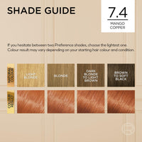 L'Oreal Paris Preference Hair Dye, Luminous Permanent Rich Hair Colour, Long Lasting Brilliance, Achieve Radiant, Salon-Inspired Results, Shade: 74, Dublin