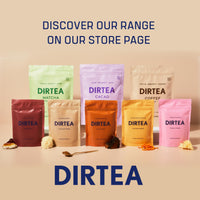 DIRTEA Lion's Mane Mushroom Powder | 2,000mg / Serving | Organic, Vegan & Non GMO | Focus, Memory & Immunity | High Strength Supplement with Zinc | 240g - 120 Servings