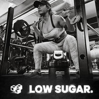 Warrior RAW Bars Choc PB 12 x 75g