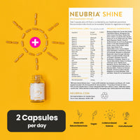 NEUBRIA Edge Focus Supplement – Multivitamin + Nootropics Brain Support with Bacopa Monnieri, Ashwagandha, Rhodiola, Ginkgo Biloba, Sage, Blueberry & Rosemary – Potent Cognitive Formula – 60 Capsules