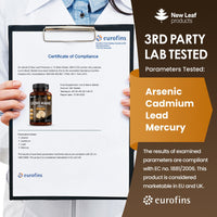 Lions Mane Mushroom 2000mg - 365 High Strength Vegan Tablets - Lion's Mane Supplement with Black Pepper - Lion's Mane Mushrooms Extract (Not Powder or Capsules) Made in The UK by New Leaf Products