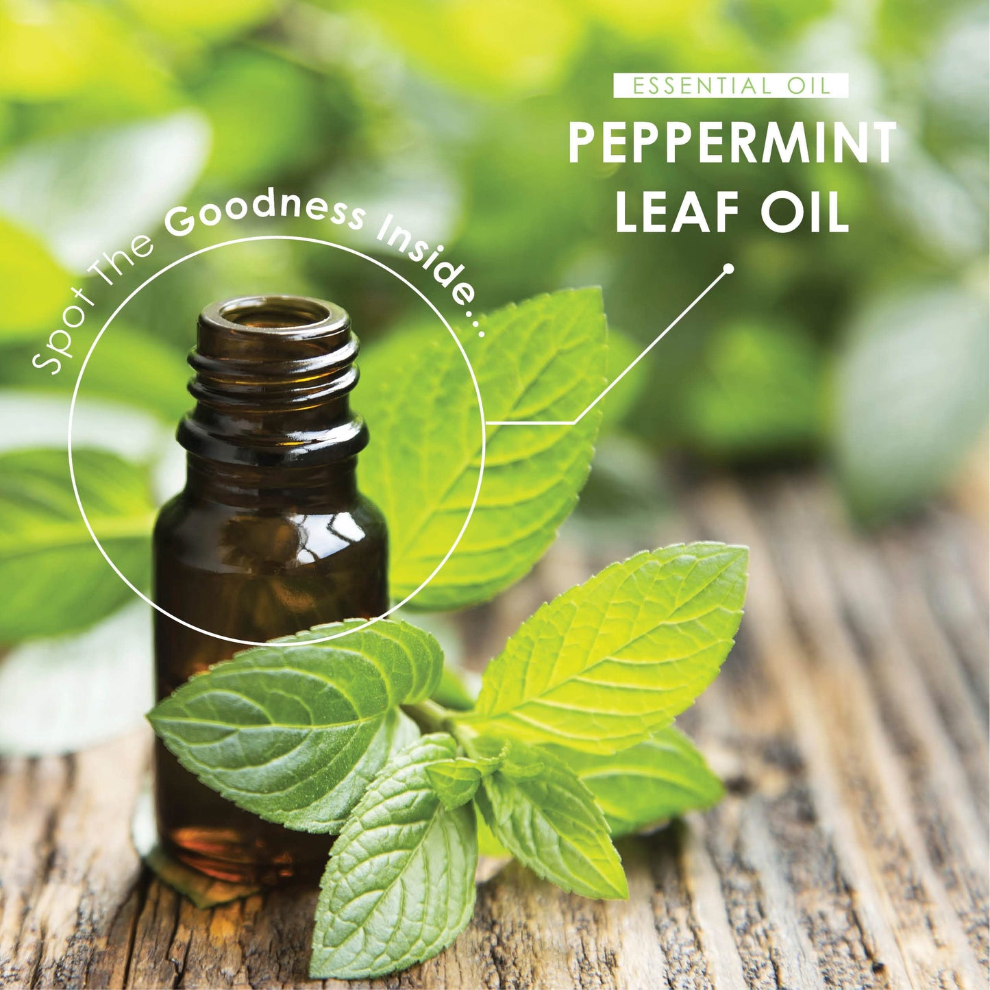 ALPHA01 Peppermint Oil 200mg - Cold-Pressed 180 Capsule Softgels (6 Months Supply) - Fast Absorbing & Easy to Digest - 100% Natural Peppermint Oil Digestive Supplement