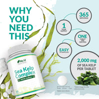 Sea Kelp Iodine Supplement Complex - 365 Vegan Tablets - 435mcg of Iodine per Tablet - 1 Year Supply - Wild Harvested Seaweed - GMO Free - Made in The UK - Nu U Nutrition