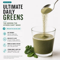 33Fuel Daily Greens Powder - UPF-Free Premium Superfood & Fibre Blend for Gut Health with only Natural Ingredients, Daily Greens Super Blend, Vegan, Handmade in the UK – Orange