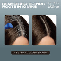 Clairol Root Touch-Up Permanent Hair Dye, 4G Dark Golden Brown, Packaging may vary