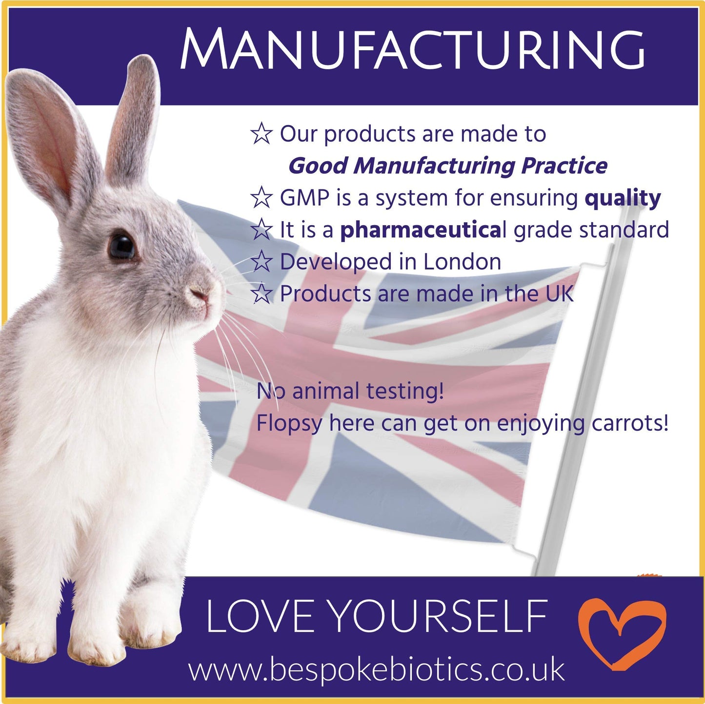 Bespoke Biotics Vitamin B Complex 100% |120 Caps | Energy| Mood| Nerves| Digestion |Added PABA Includes Essential Multi B-Vitamins B1, B2, B3, B5, B6, B12, Biotin & Folate100 NRV Daily Supplement | UK Made|