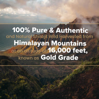 Generic Ultimate Authentic Premium Pukka Shilajit - 100% Pure Himalayan Organic Resin with High Potency Fulvic Acid & Trace Minerals for Energy & Vitality for Men and Women - (40g)