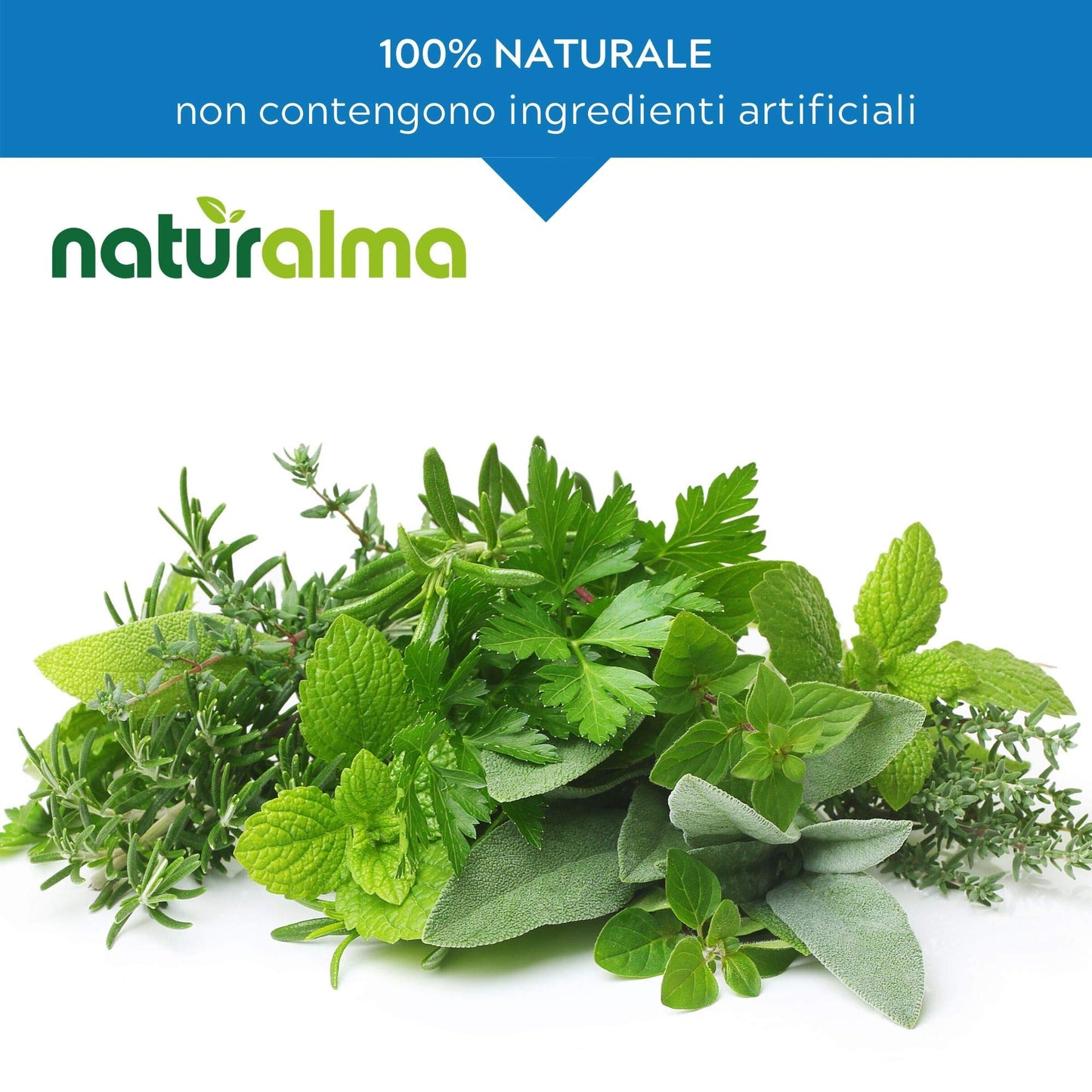 Propolis (Propolis) Resin Hydroalcoholic Mother Tincture NATURALMA | Liquid Extract Drops 120 ml | Food Supplement