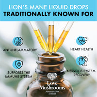 Love Mushrooms - Organic Lions Mane Supplement - 4000mg per 1 ml - Liquid Drops for Focus and Memory Support - Vegan and Made in The UK - Mushroom Drops with Sweet Taste - 30ml