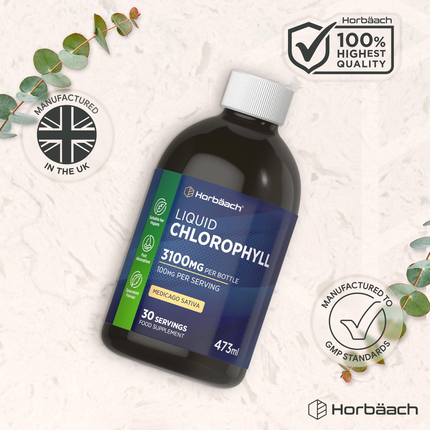 Horbäach Liquid Chlorophyll Drops for Water | 3100mg Per Bottle | 473ml | Vegan Supplement | Mint Flavour | by Horbaach