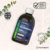 Horbäach Liquid Chlorophyll Drops for Water | 3100mg Per Bottle | 473ml | Vegan Supplement | Mint Flavour | by Horbaach