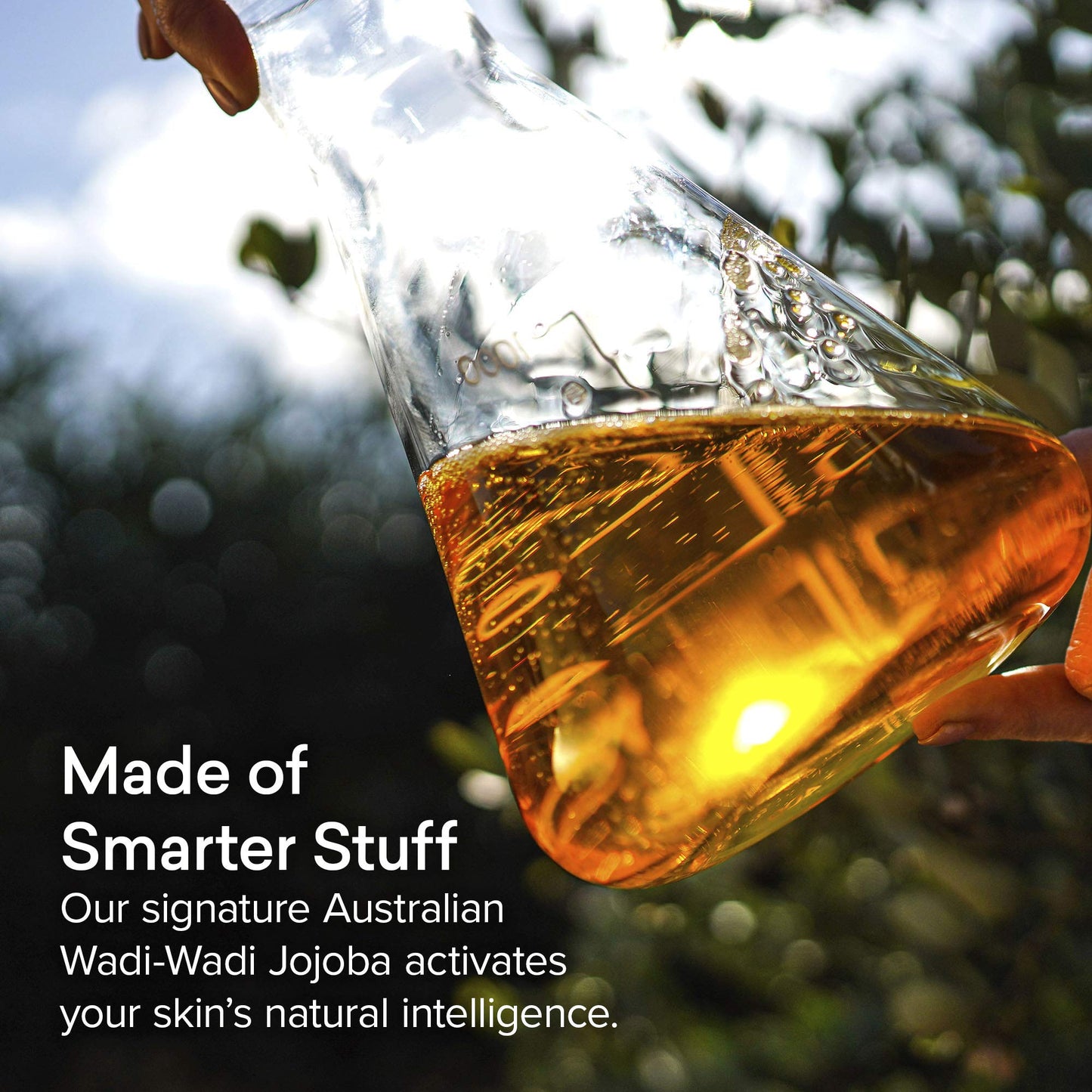 The Jojoba Company Pure Australian Jojoba Oil, Cold Pressed Australian Jojoba with Vitamin A, D, and E, Deeply Moisturising Face Oil, Jojoba Oil for Hair and Body, Gentle For All Skin Types 85ml