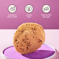 Natural Sea Sponge - Silk Luxuriously Soft Unbleached Bathing Sponge with Super High Absorbancy for All Skin Types (4-4.5"/10-11cm, Pack of 4)
