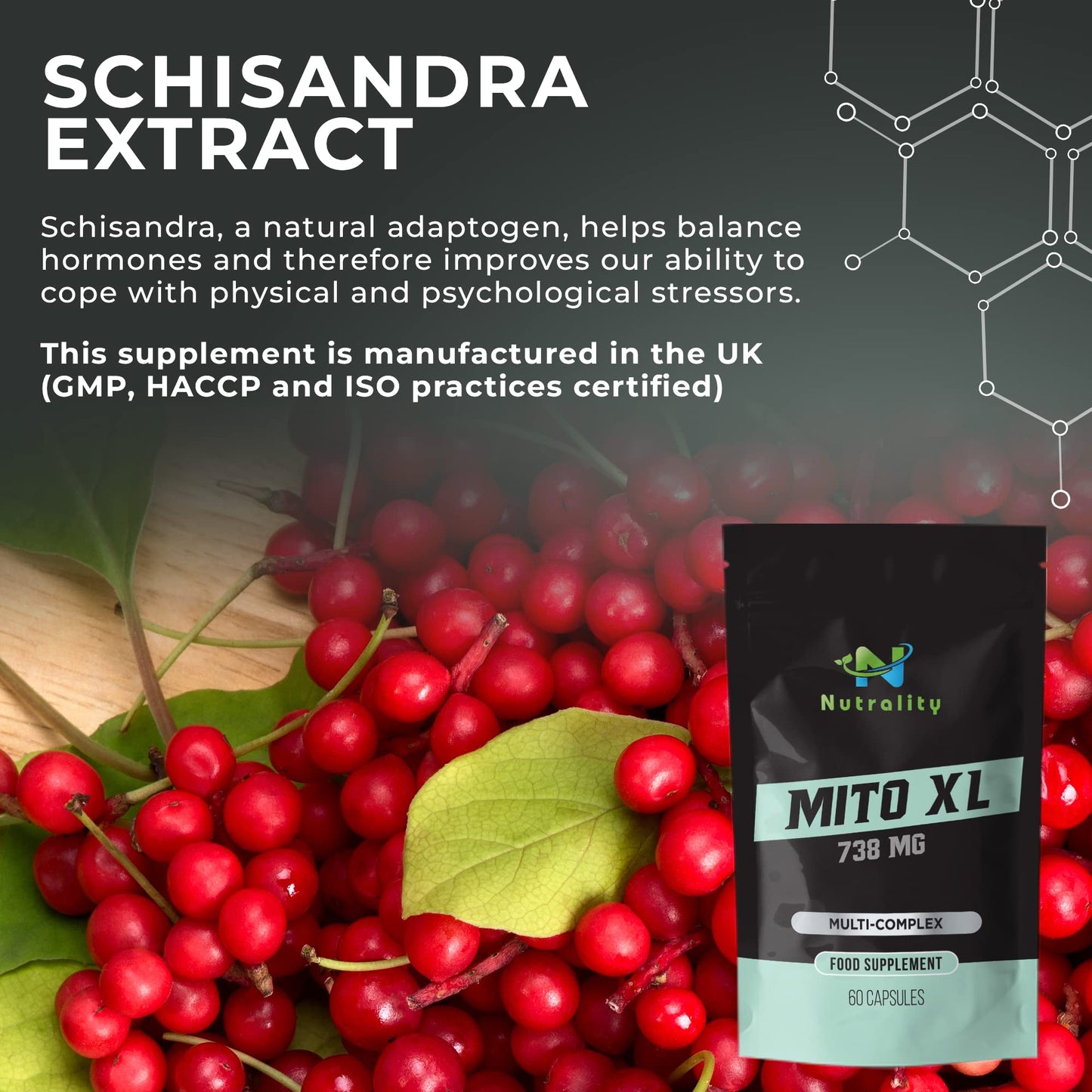 Nutrality Mito XL Supplement, 738mg | Mitochondrial Energy Optimizer, Healthy Mitochondria, Cellular Energy, Cognitive Support, Brain Health | 1 Month Supply, 60 Vegan-Friendly Capsules