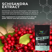 Nutrality Mito XL Supplement, 738mg | Mitochondrial Energy Optimizer, Healthy Mitochondria, Cellular Energy, Cognitive Support, Brain Health | 1 Month Supply, 60 Vegan-Friendly Capsules