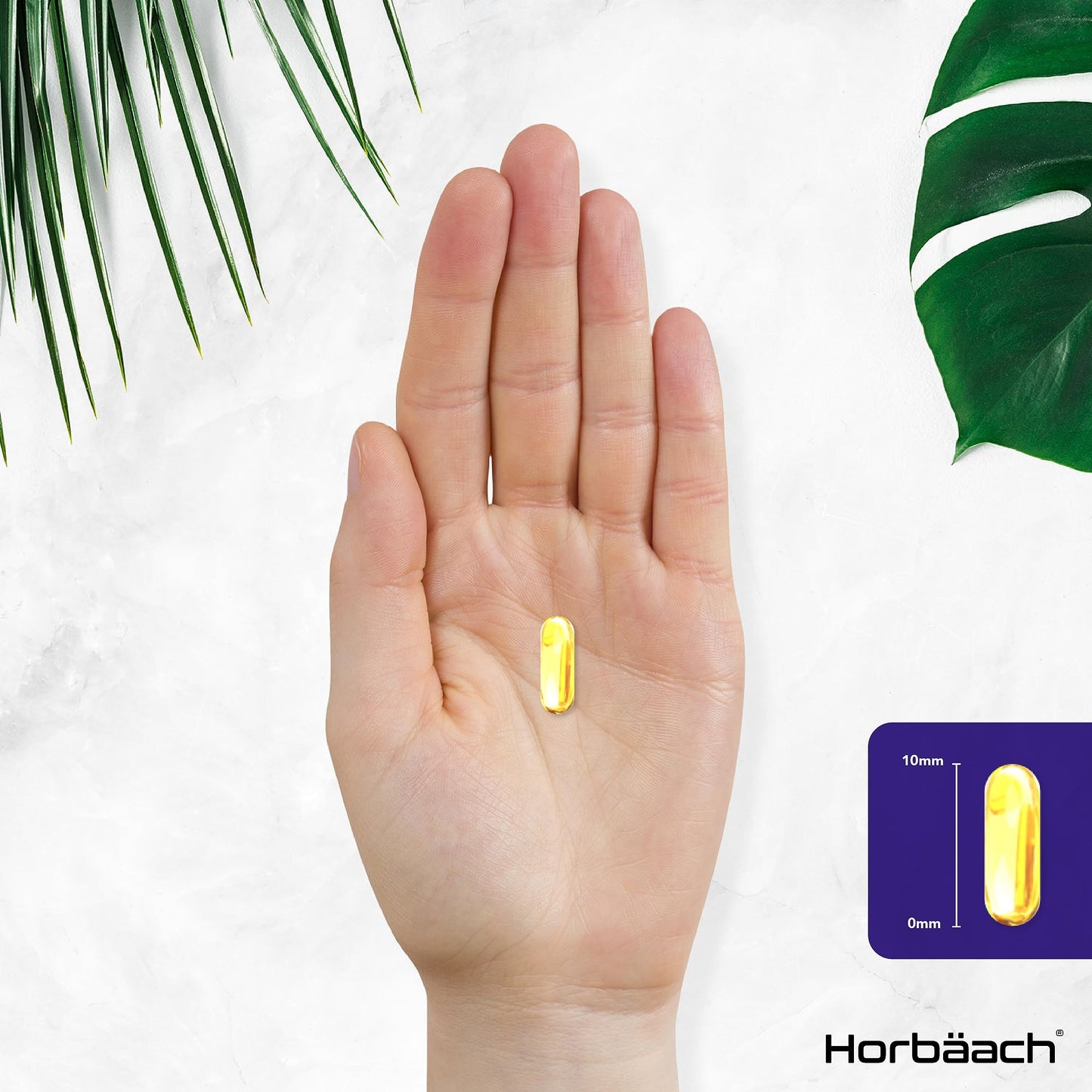 Starflower Oil Capsules 2164mg | Borage Oil Capsules | GLA and Vitamin B6 | 120 Softgels | by Horbaach