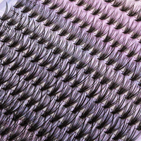 Leipple Lash Clusters,240Pcs 9-14mm Mix Individual Lashes Cluster, 20D