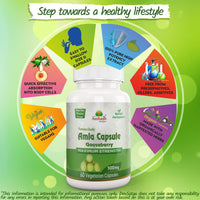 Aushadh Amla Fruit (Gooseberry) Capsule