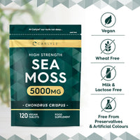 Sea Moss Tablets 5000mg | 120 Vegan Tablets | High Strength Sea Moss Extract | Carlyle