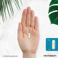 Horbäach Nootropic Brain Supplements | 180 Vegan Capsules | Cognitive Complex Enhancer for Energy, Focus & Mental Performance | by Horbaach