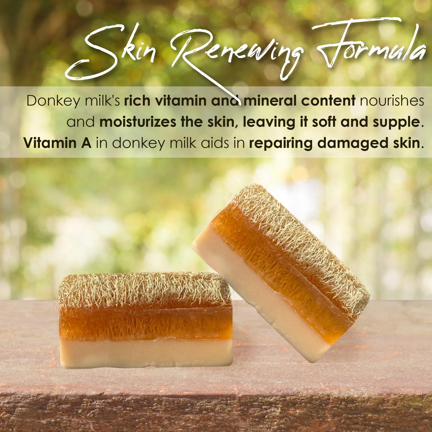 STORELUXY 130gr Donkey Milk & Honey Soap Bar With Pumpkin Fiber Natural Handmade Loofah | Anti Ageing, Anti Wrinkle, Effective For Acne & Eczema, Vitamin A, Moisturising Skincare