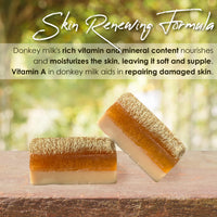 STORELUXY 130gr Donkey Milk & Honey Soap Bar With Pumpkin Fiber Natural Handmade Loofah | Anti Ageing, Anti Wrinkle, Effective For Acne & Eczema, Vitamin A, Moisturising Skincare