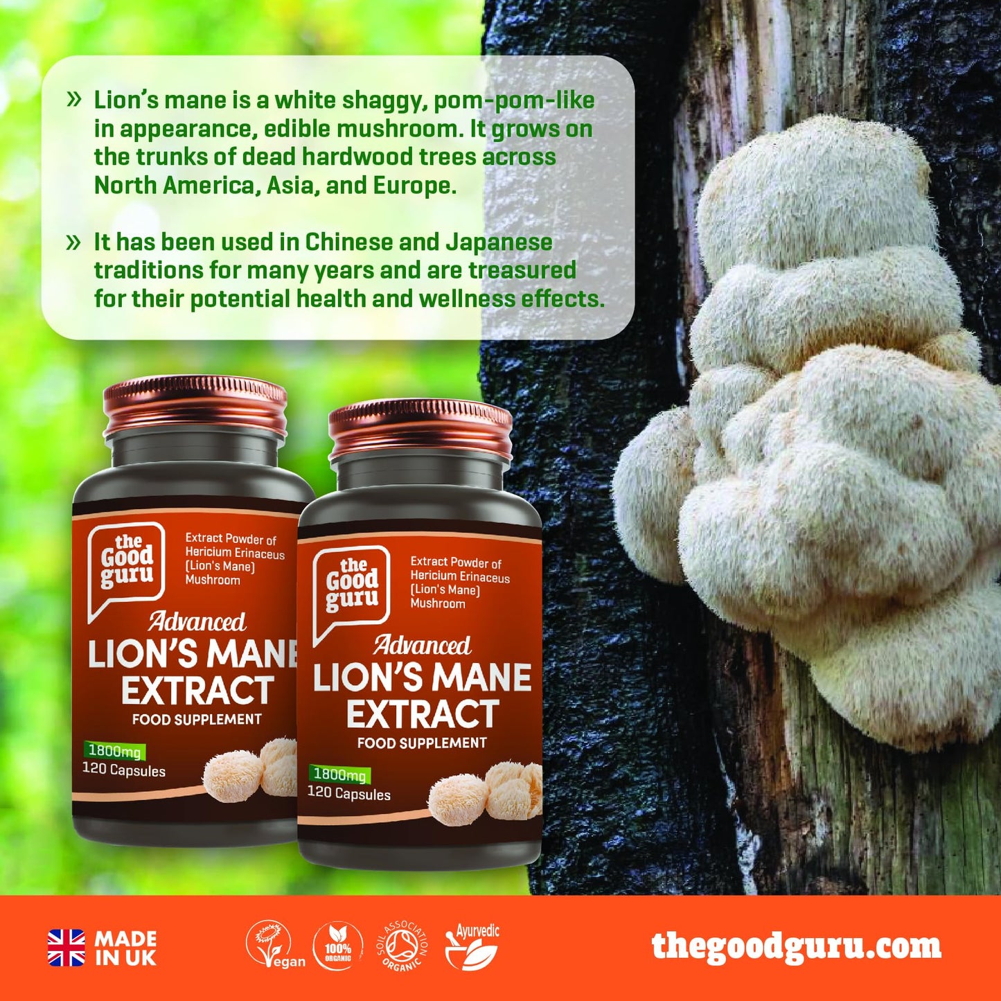 Lion's Mane Mushroom Extract - 1800mg | Immune and Memory Support |120 Vegan Capsules by Good Guru | Lions Mane Supplement