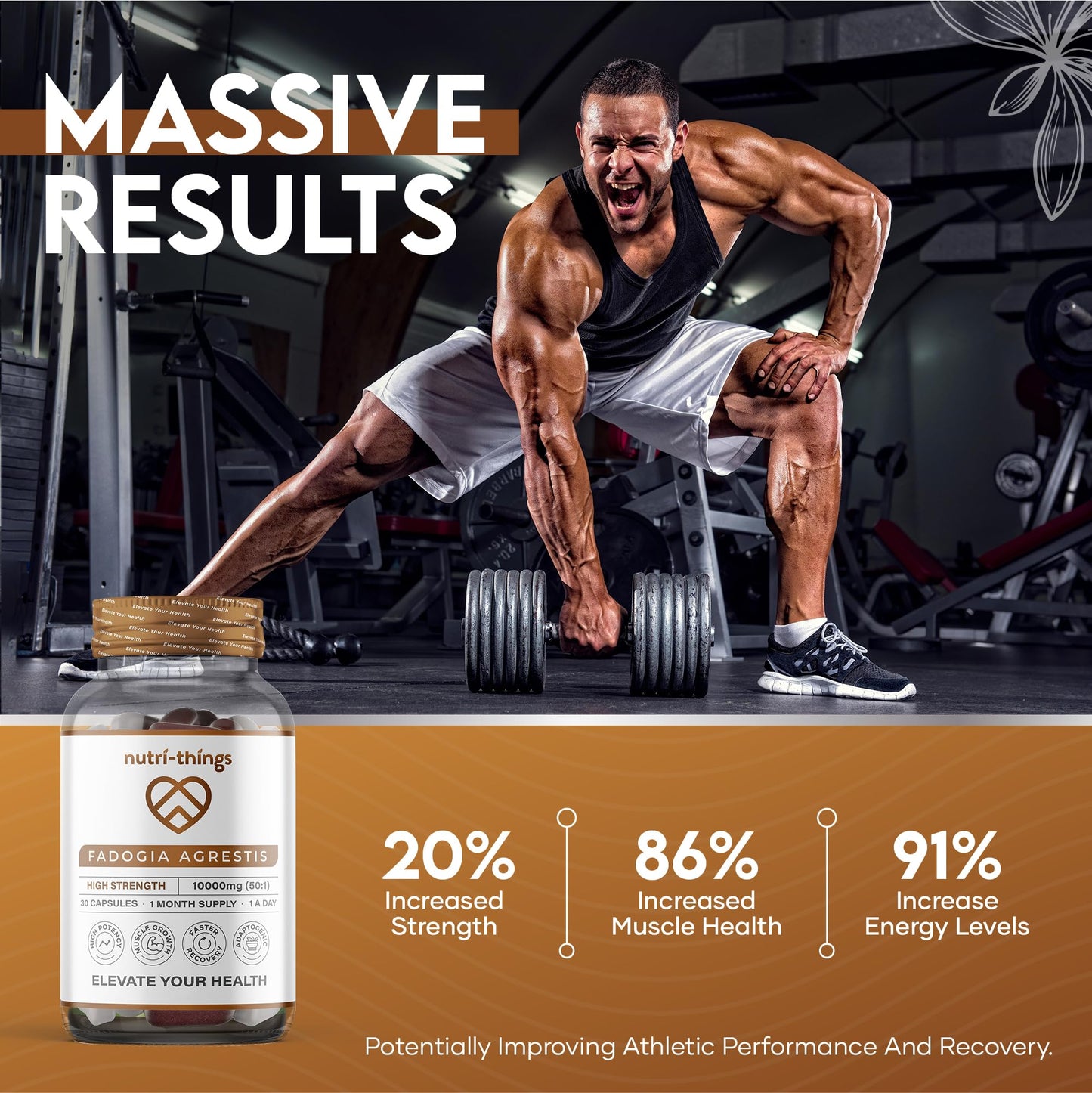 Nutri-things Elevate Your Health® Fadogia Agrestis Capsules