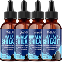 Veenuule Pure Shilajit Liquid Drops, High Potency Himalayan Shilajit Drops, Enriched with 60% Fulvic Acid and 85+ Trace Minerals, 5X Faster Absorption, Alternative to Resin and Capsules, 60ml (Pack of 4)