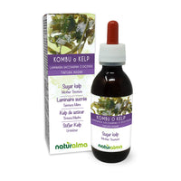 Sugar kelp or Kombu (Laminaria saccharina or L. digitata) Thallus (Seaweed) Alcohol-Free Mother Tincture Naturalma | Liquid Extract Drops 120 ml | Food Supplement | Vegan