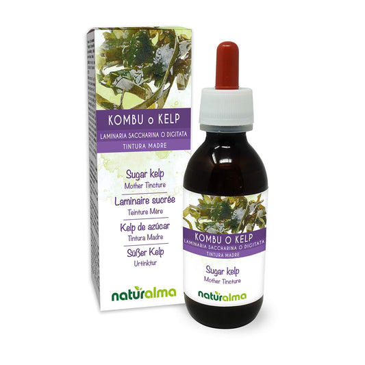 Sugar kelp or Kombu (Laminaria saccharina or L. digitata) Thallus (Seaweed) Alcohol-Free Mother Tincture Naturalma | Liquid Extract Drops 120 ml | Food Supplement | Vegan