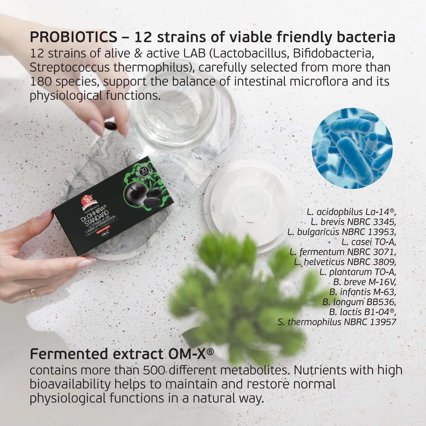 DR. Ohhira Dr. OHHIRA®STANDARD Probiotics with OM-X® - Gut Health Supplements with 12 Live Probiotic Strains & Prebiotics - 30 Capsules - 3 Years Fermentation - Non-GMO, Gluten-Free - Probiotics for Gut Health