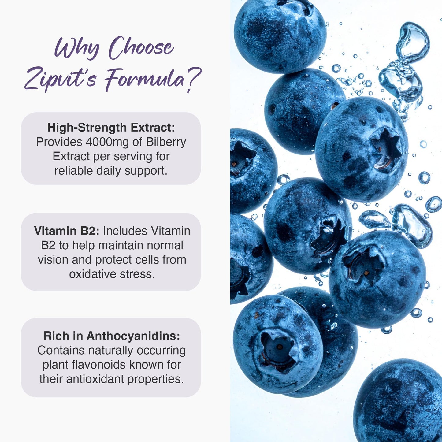 Zipvit Bilberry Extract 4000mg with Vitamin B2, Eye Vitamins with Anthocyanidins, Vaccinium Uliginosum, Supports Healthy Vision, 120 Vegan Tablets, 2 Months Supply