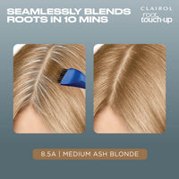 Clairol Root Touch-Up Permanent Hair Dye, 8.5A Medium Champagne Blonde