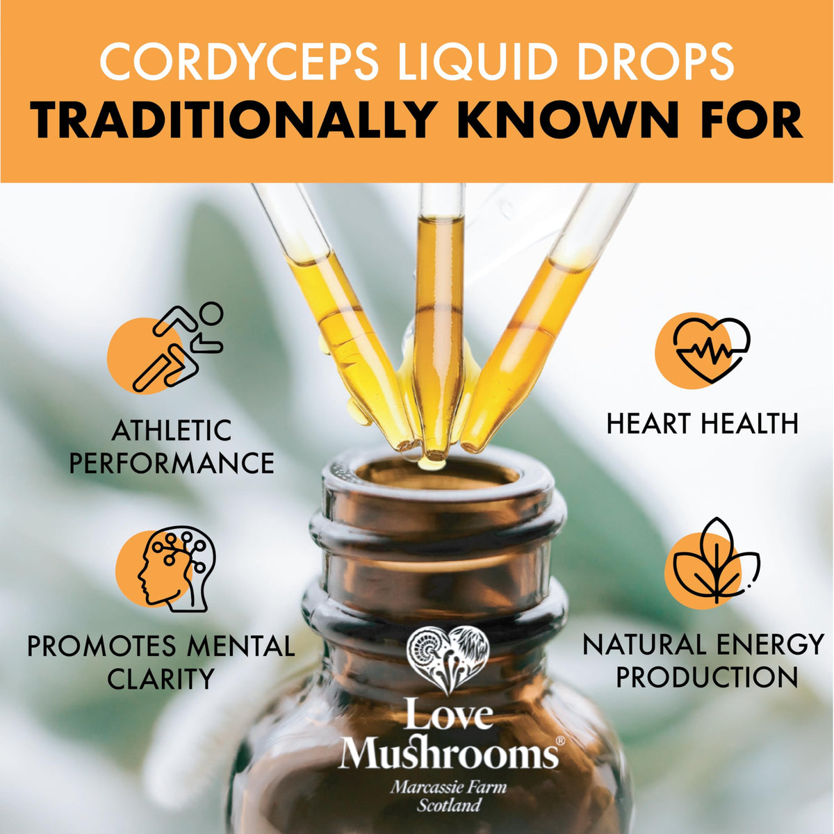 Love Mushrooms Organic Cordyceps Mushroom Supplement 4,000mg per 1ml | High Strength Liquid Drops 30ml for Natural Energy & Endurance | Vegan, Plant Based Food Supplement, UK Made, Sweet Taste